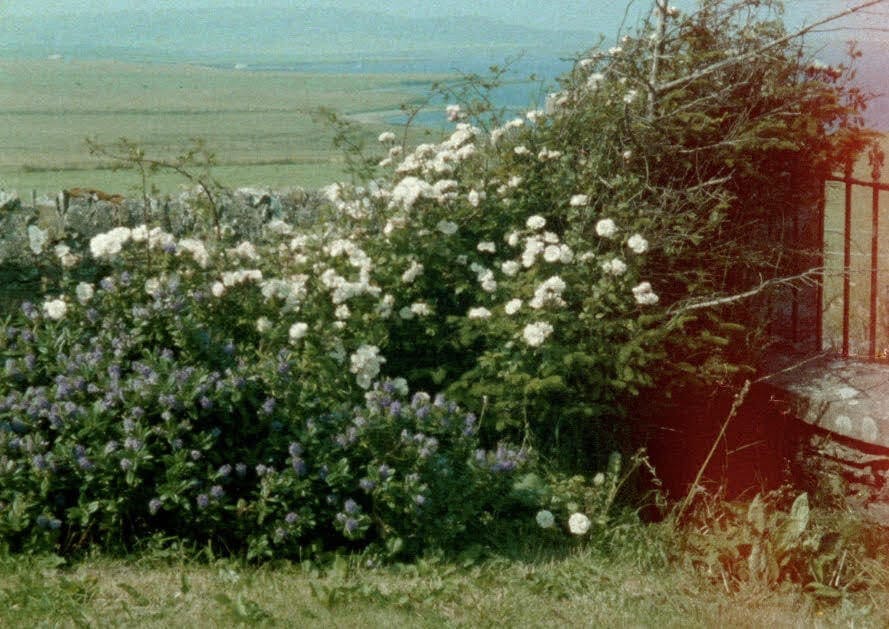 Ute Aurand – GLIMPSES FROM A VISIT TO ORKNEY IN SUMMER 1995 (2020)