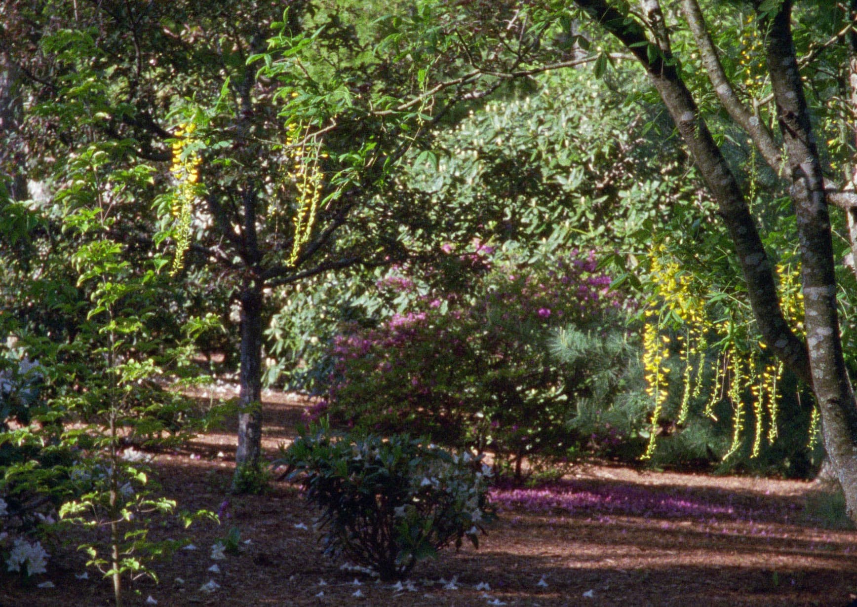 Robert Beavers – PITCHER OF COLORED LIGHT (2000-2007)