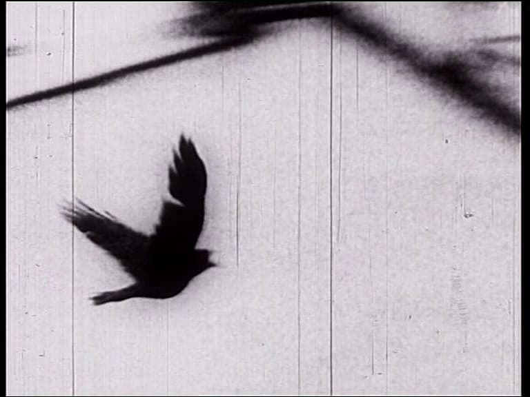 Nikola Đurić - Gavran (Raven, 1973)