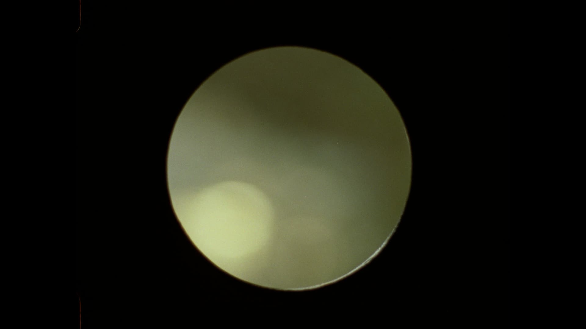 Els van Riel - Elliptic (2025)