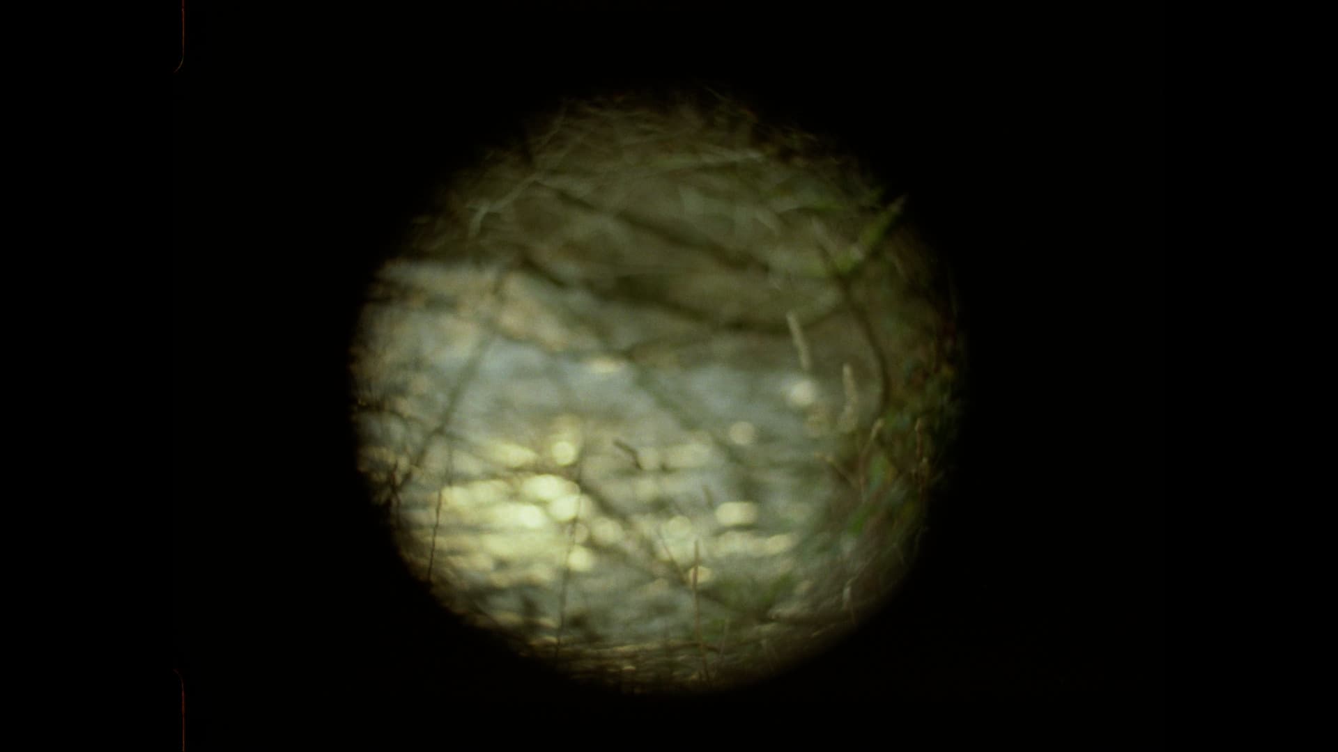 Els van Riel - Elliptic (2025)