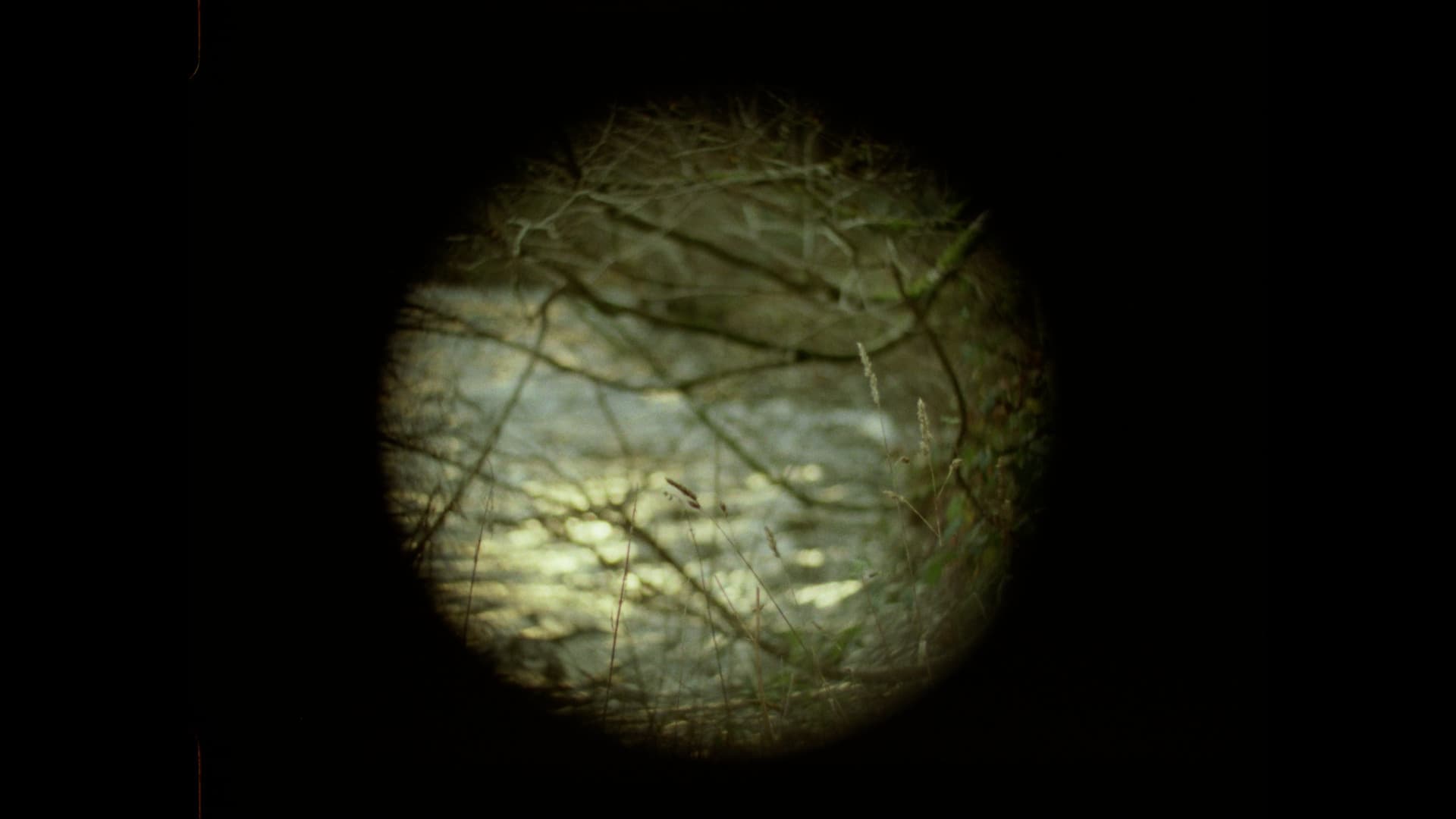 Els van Riel - Elliptic (2025)