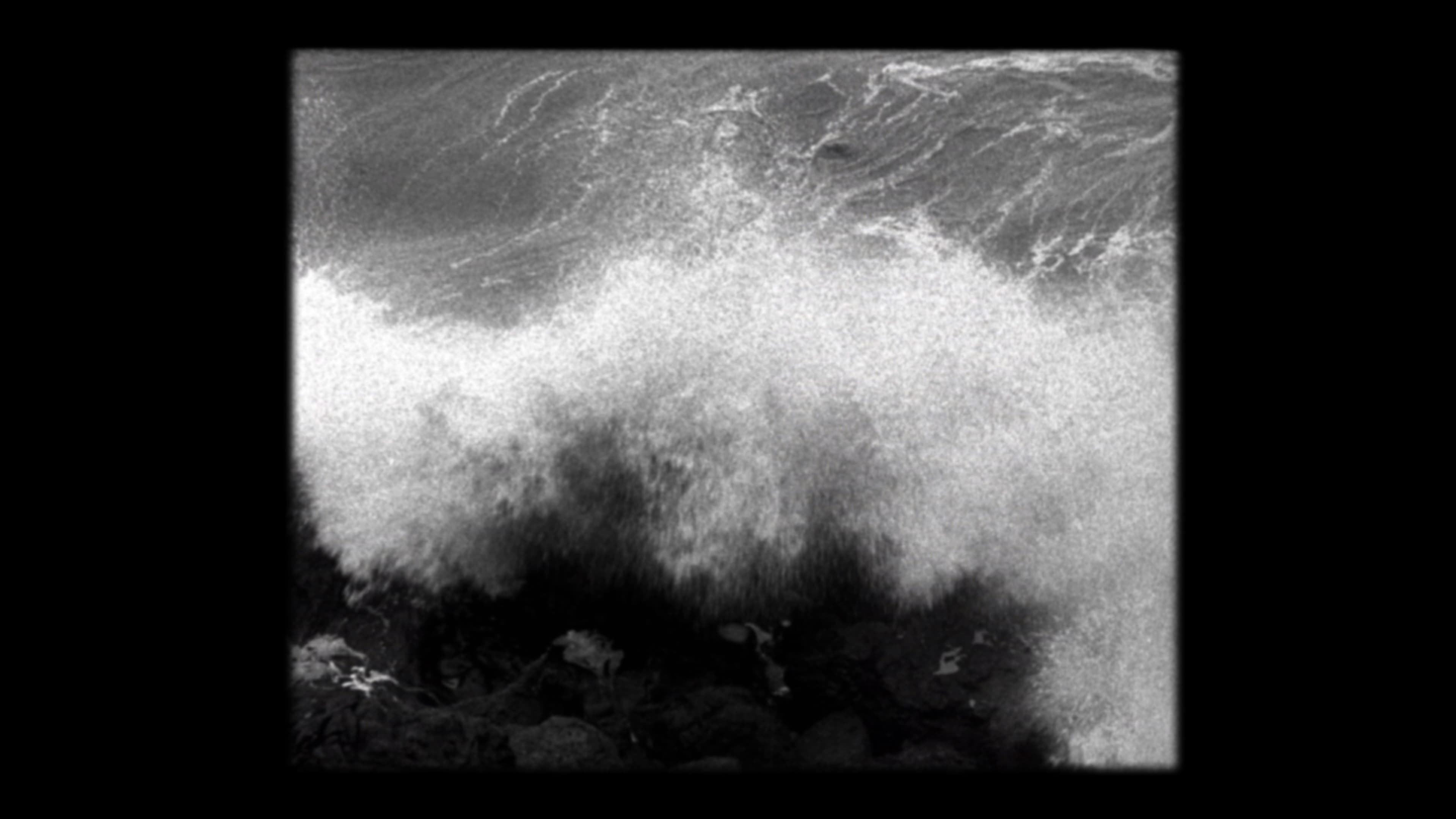 Els van Riel - Gradual Speed (2013)