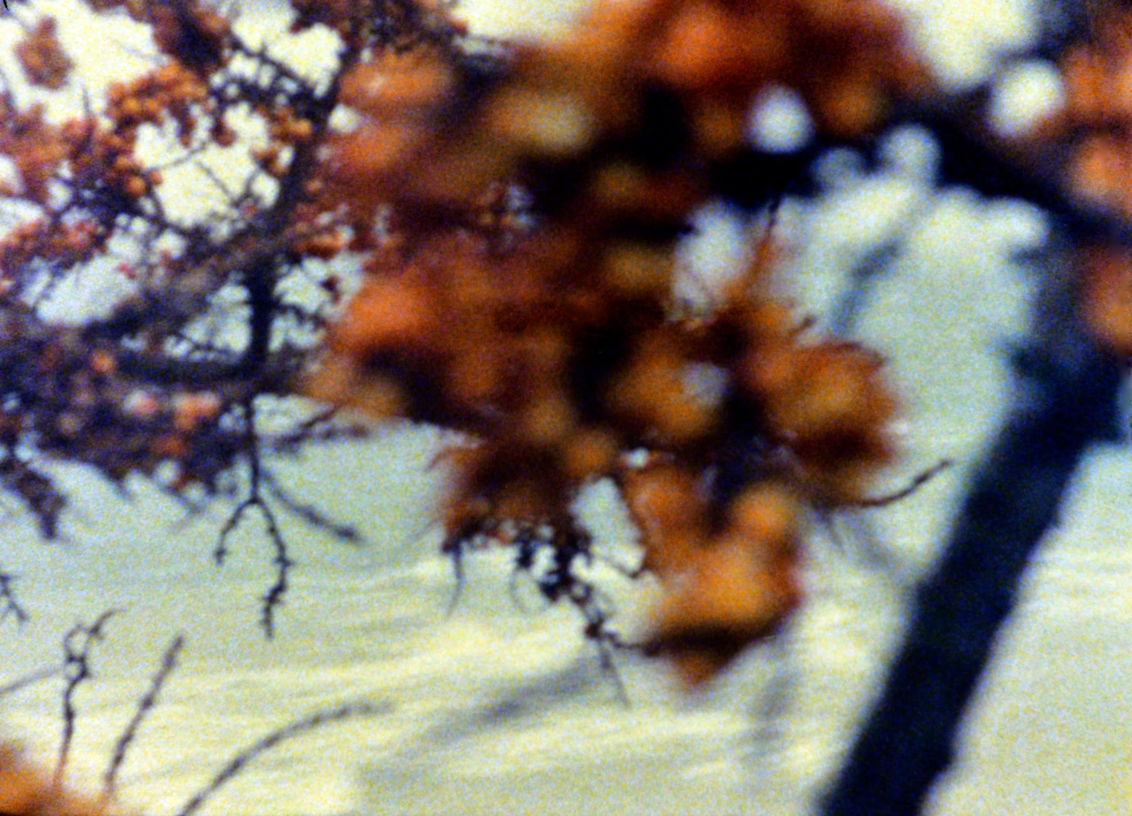 Ute Aurand – Am Meer (1995)