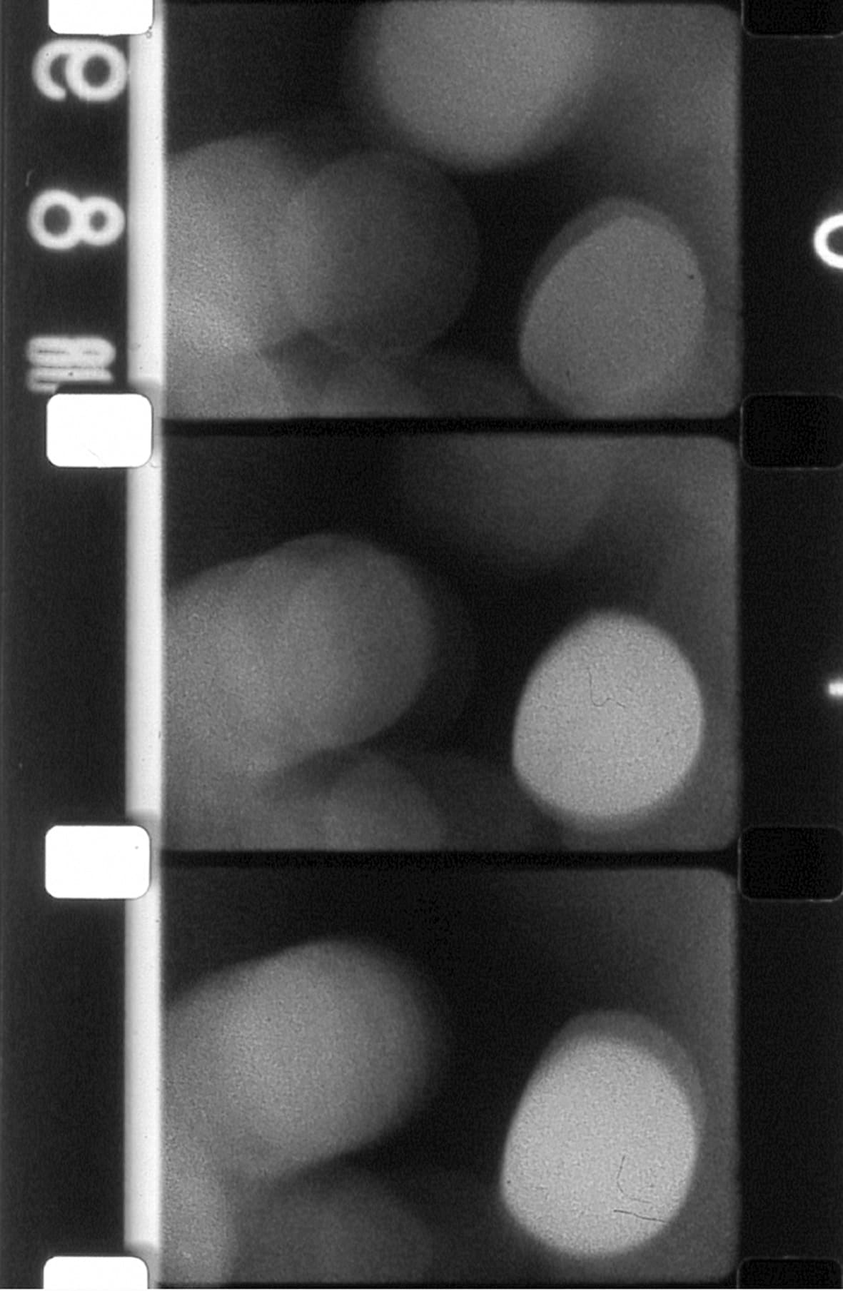 Rose Lowder – Certaines observations (1979)