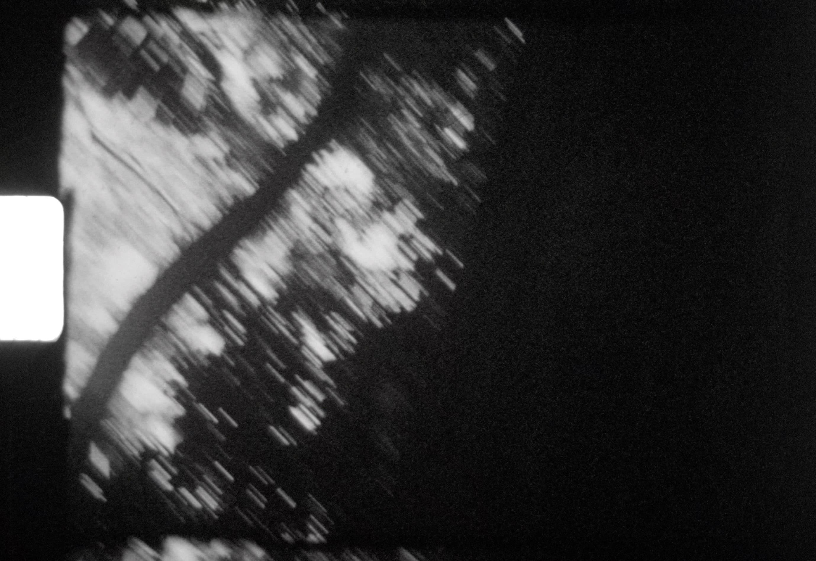 Nicole Remy - Constant, copresent (2024-2025)