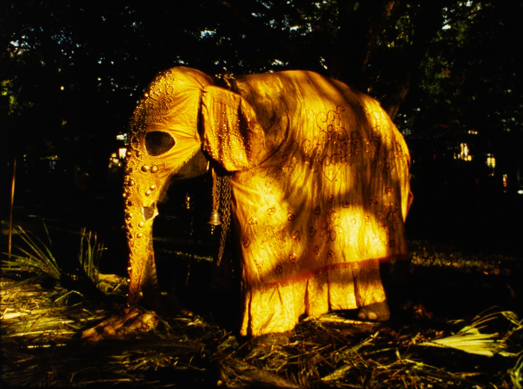 Mark LaPore – A Depression in the Bay of Bengal (1996)