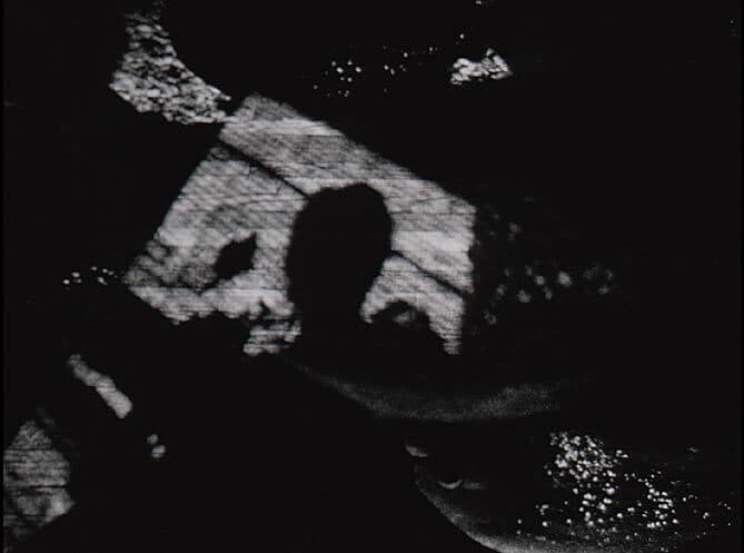 Shellie Fleming – Devotio Moderna (1993)