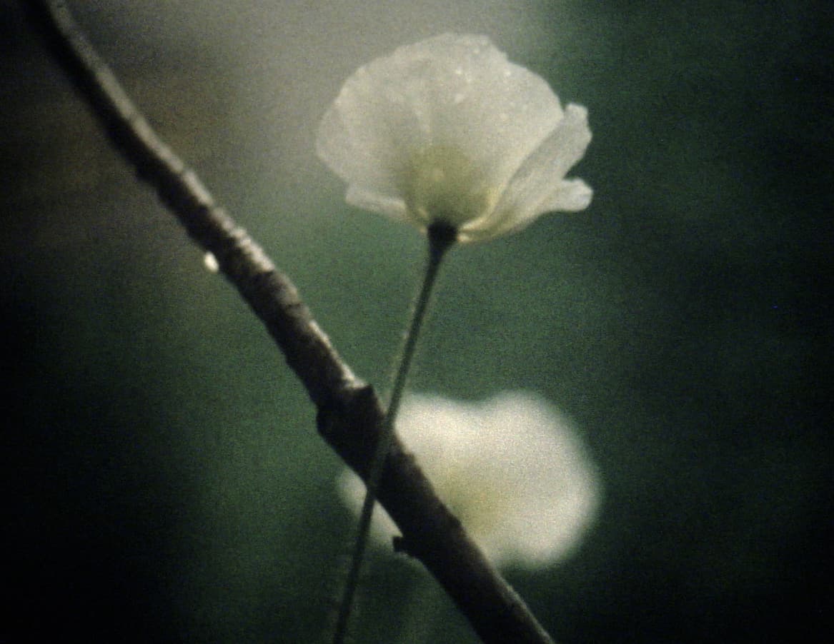 Ute Aurand – Terzen (1998)