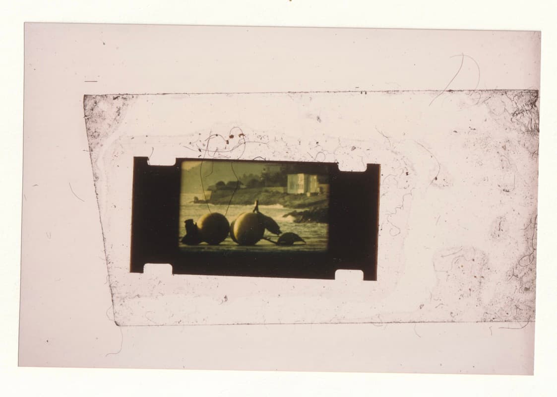Hille Köhne - Zitrusfrüchte (1983)